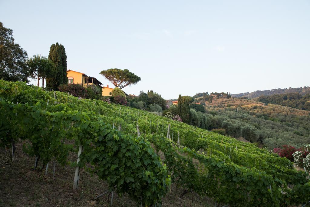 Casa Vacanze Casa Italia ลัมปอเรคคิโอ ภายนอก รูปภาพ