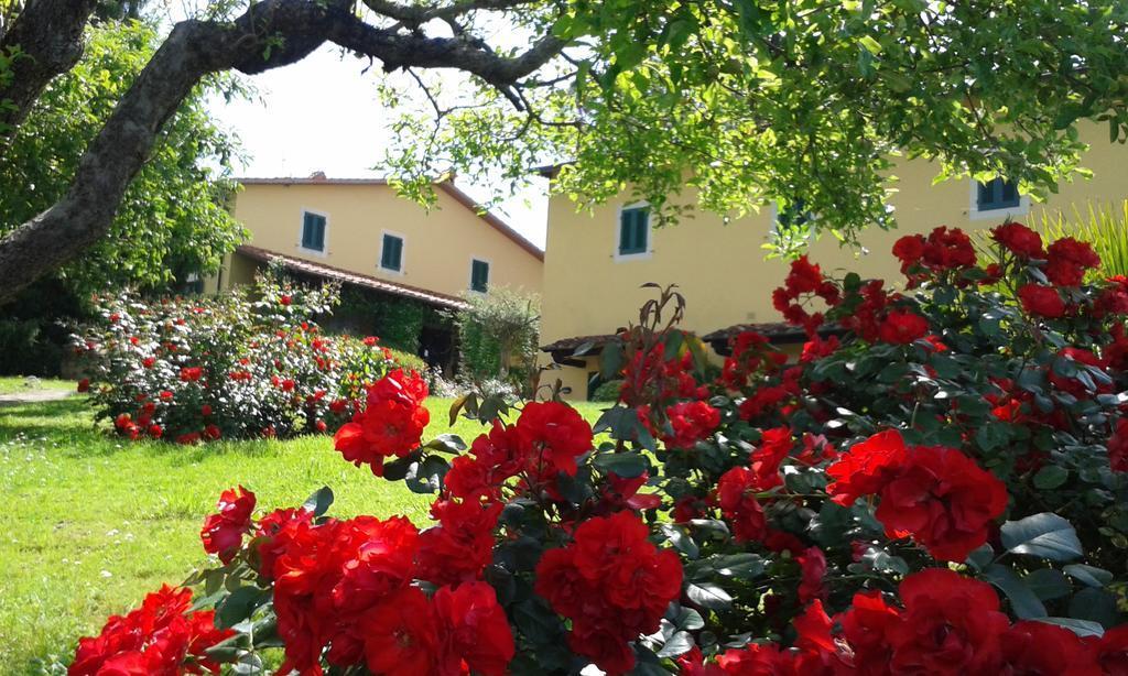 Casa Vacanze Casa Italia ลัมปอเรคคิโอ ภายนอก รูปภาพ