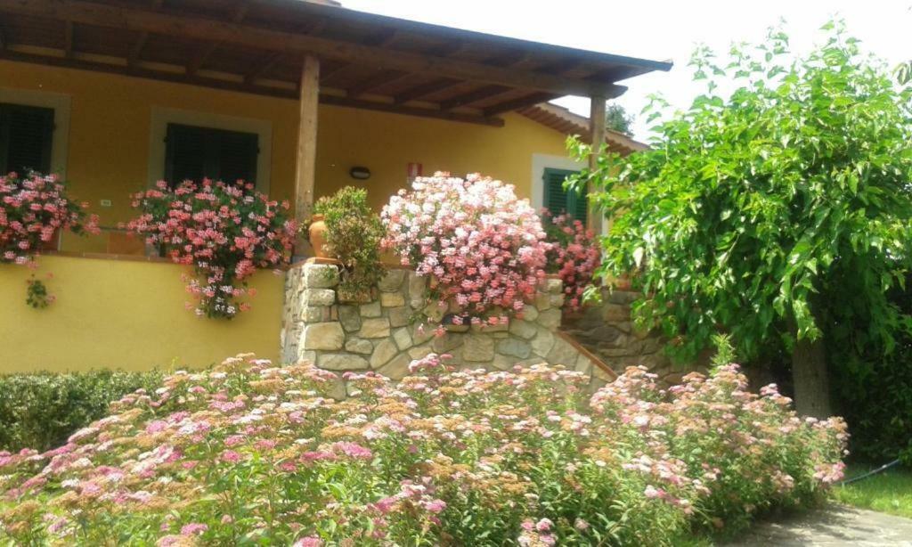 Casa Vacanze Casa Italia ลัมปอเรคคิโอ ภายนอก รูปภาพ